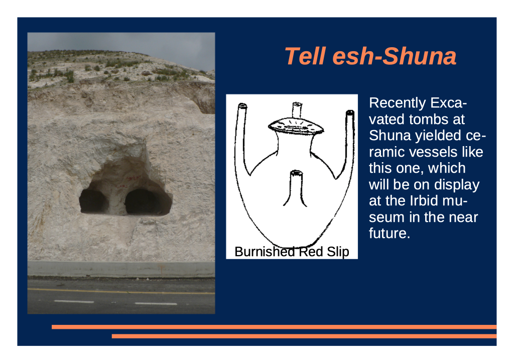 Tell esh-Shuna ceramic find